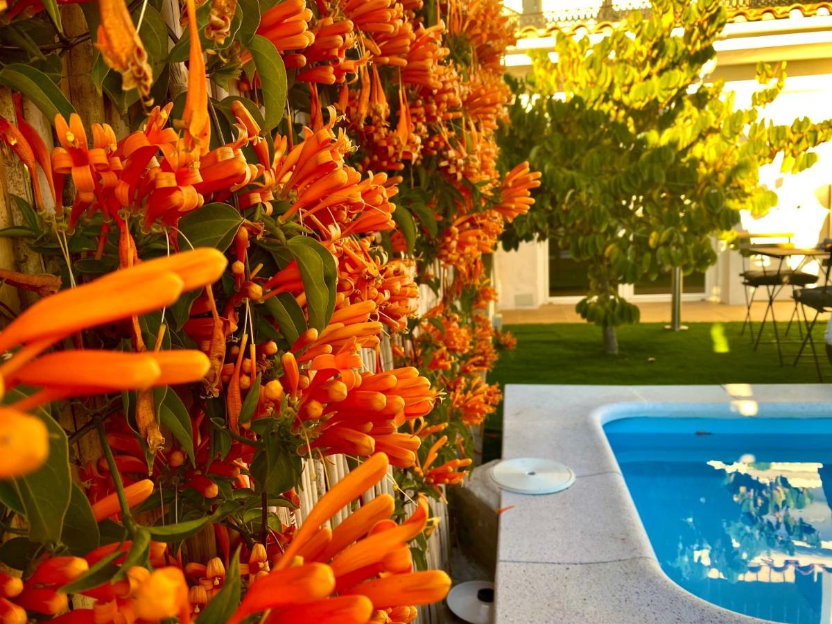 Suite Breeze - Private Heated Pool Málaga Exterior foto